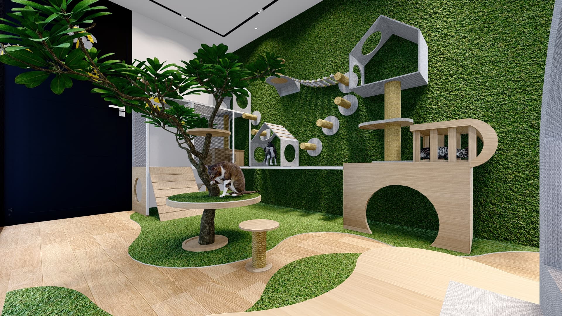 Cat Room · 1 ruang - foto 5