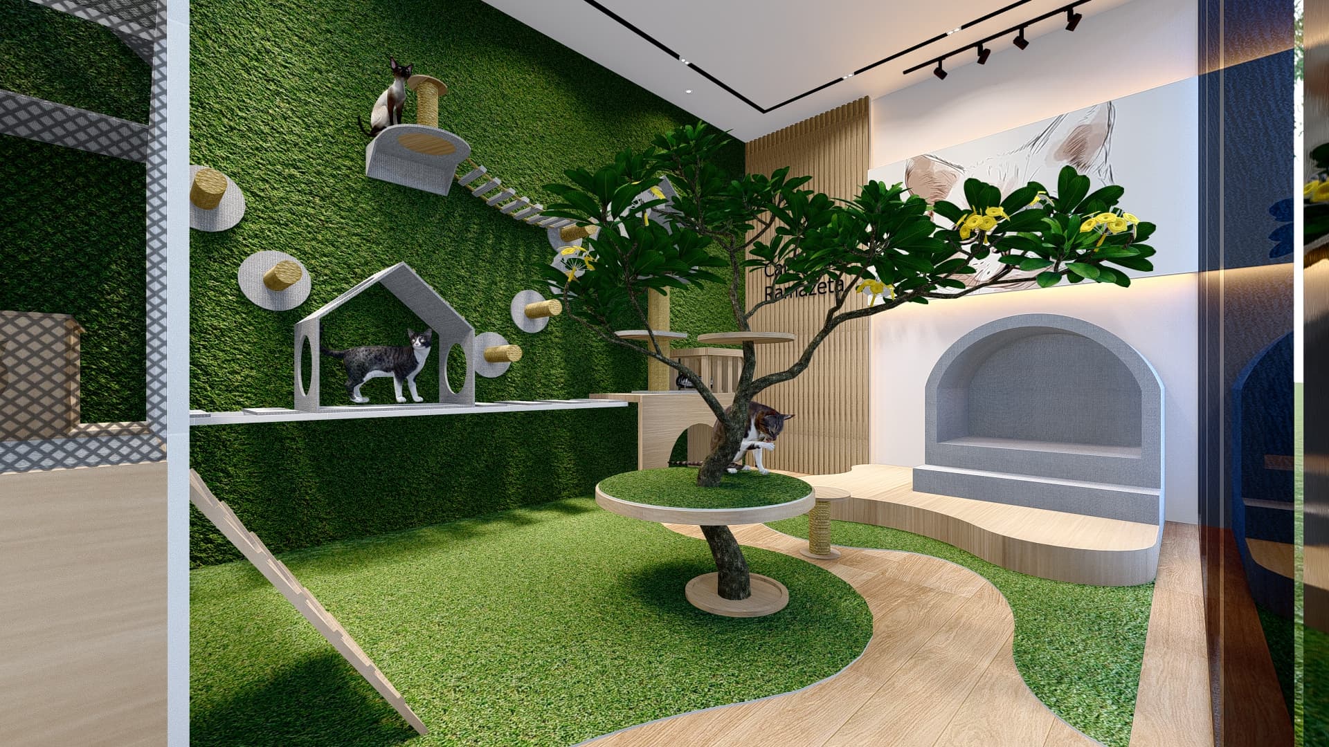 Cat Room · 1 ruang - foto 6